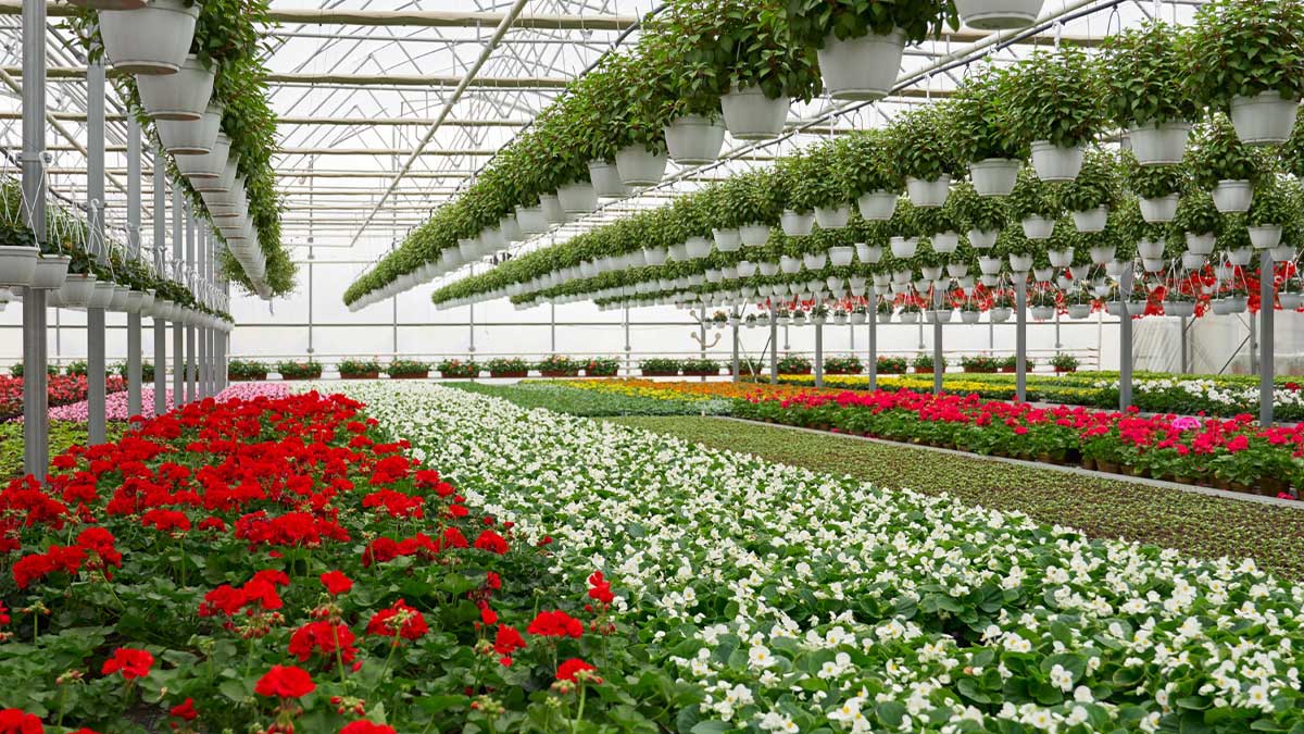 Professional Gardening & Landscaping Services with Qualified Horticultural Experts